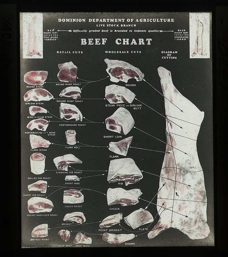 Chart of beef cuts