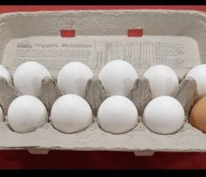 Carton of free range eggs